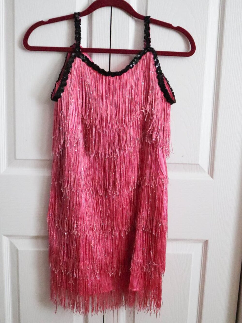Chasing Fireflies Girls' Flapper Dress Costume Sz 12 Fringe Sequins Dolly Parton - Picture 3 of 8